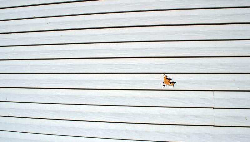 Professional Repair in Progress